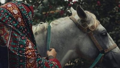السيده عائشه تحكي أنه في يوم كان رسول الله/قصه كامله