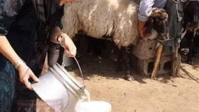 قصه عيش والملح