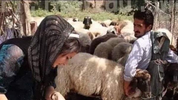 موقع أيام نيوز