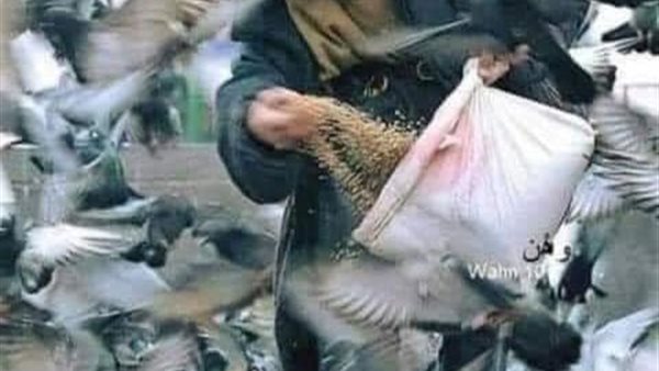 موقع أيام نيوز