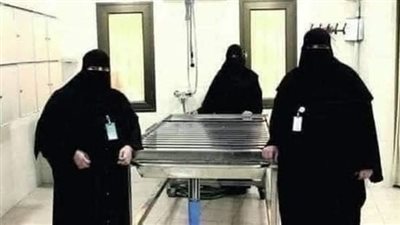 قصة مالك فى المدينه