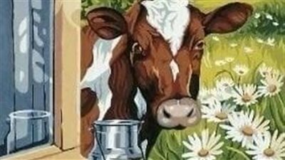 البقره الحزينه