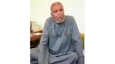 الشيخ الشعراوي