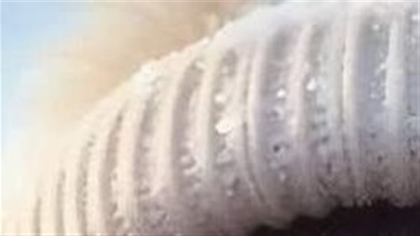 موقع أيام نيوز
