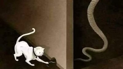 قصة الفيلا المسکونه بمدينة جده