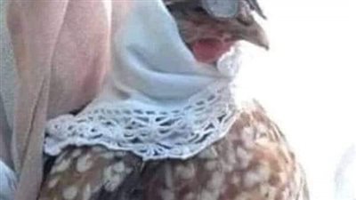 واحد اعرفه أخته اطلقت