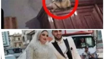 اللغز المرعب