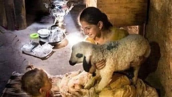 موقع أيام نيوز