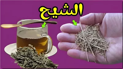 فوائد عشبة الشيح خارقه