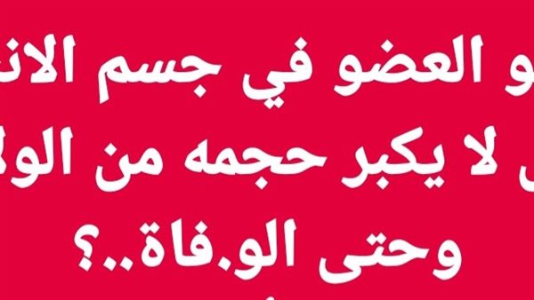 موقع أيام نيوز