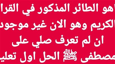 ماهو الطائر المذكور في القران الكريم وهو الان غير موجود ان لم تعرف صلي على المصطفى ﷺ 