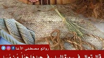 قال تعالى فى سورة المسد : فِي جِيدِهَا حَبْلٌ مِّن مَّسَدٍ ماذا تعني كلمة مسد 