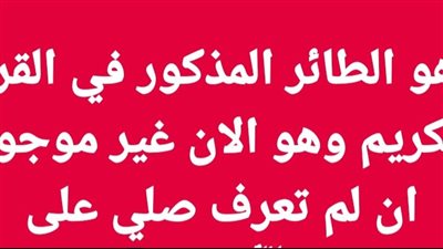 ماهو الطائر المذكور في القران الكريم وهو الان غير موجود ان لم تعرف صلي على المصطفى ﷺ