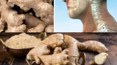 علاج الم الجسم والمفاصل بالزنجبيل 