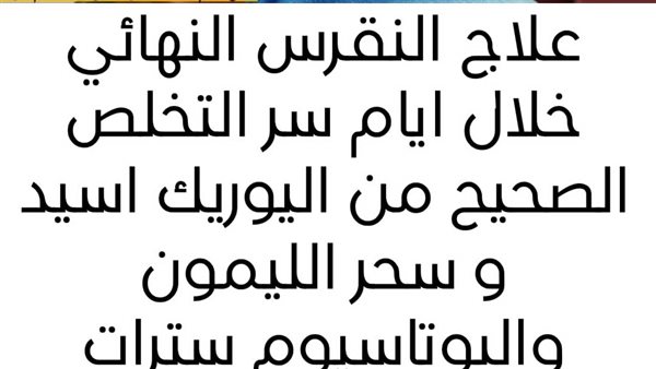 موقع أيام نيوز
