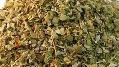 عشبة البردقوش