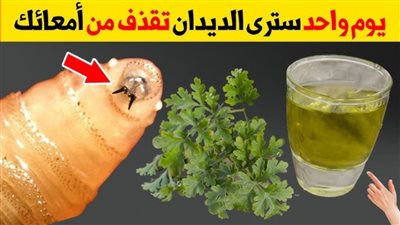 وصفة ليوم واحد تقضي على الديدان وتنظيف القولون 