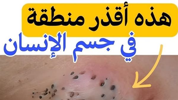 موقع أيام نيوز
