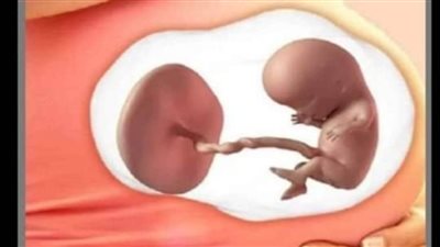 علامات تخبرك بانك حامل من قبل التحليل