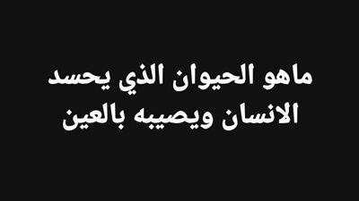 ماهو الحيوان الذي يحسد الانسان ويصيبه بالعين