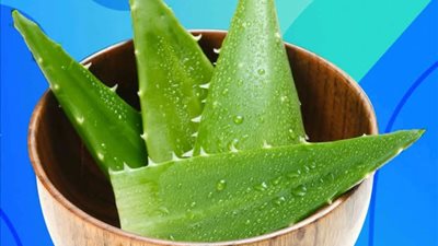 اصنـعي زيت الشعـر بالألوفـيرا الصبــار لتعــزيز نمـو الشعـر ومنـع التسـاقط