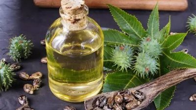 زيت الخروع بعد الخمسين إليكم ما يحدث بعد 7 أيام من الاستخدام طريقة الاستخدام وفوائده