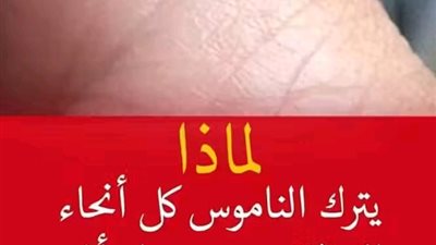 لماذا يترك الناموس كل أنحاء الغرفة.. و يزن بجوار أذن الإنسان؟..