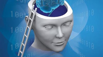 ضعف الذاكرة هى المشــكلة الأكبر التى تصـيب الكثير ، دراسة طـبية تكشف عن العشبة الطــبية الذى تقوى ذاكرتـك خلال ساعة واحدة