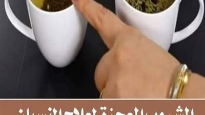 كيفية زيادة التركيز وتسريع الحفظ وعدم النسيان  للصـغار والكبار ومعـالج