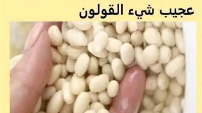 هبة ربانية تقوي القلب و الذاكرة و تساعد على فقدان الوزن الزائد و تحسن الهضم و تنقي القلون