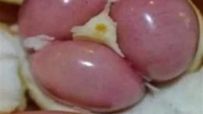 3 حبات كل صباح ستعيد لك حيوية الشباب وتعطيك قوة الحصان !