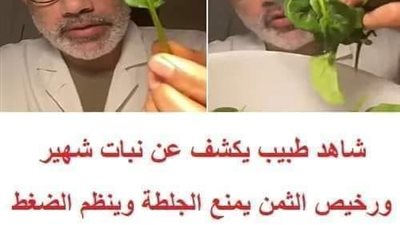 طبيب يكشف عن نبات شهير ورخيص الثمن يمنع الجلطة
