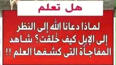 لماذا دعانا الله للنظر إلى الابل كيف خلقت شاهد المفاجأة التي كشفها العلم 