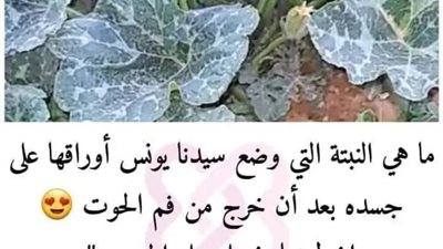 ما هي النبتة التي وضع سيدنا يونس أوراقها على جســده بعد أن خرج من فم الحــوت؟