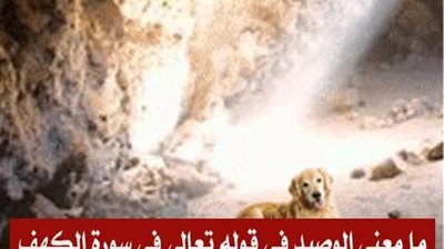 ما معنى ب