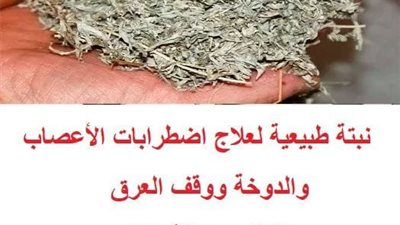 نبتة طبيعية لعلاج  اضطربات الأعصاب والدوخة ووقف العرق والكثير من الأمراض .