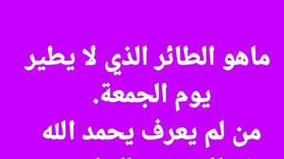 ماهو الطائر الذي لا يطير يوم الجمعة.  