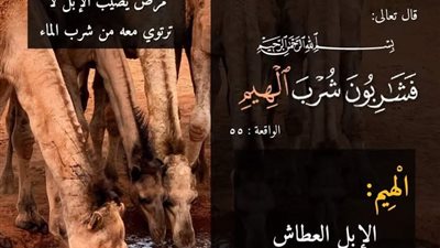 قال تعالى في سورة الواقعة: { فَشَارِبُونَ شُرْبَ الْهِيمِ} ما معنى الهيم في الأية !! 