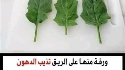 ورقة منها على الريق تذيب الدهون وټحرق الشحوم في 3 أيام بدون ريجيم أبدا مهما كانت كرشك كبيرة ومدلدله