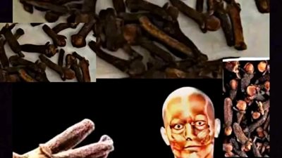 فوائد القرنفل 