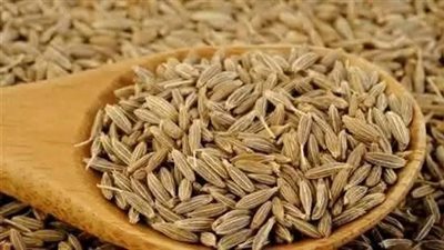 صيدلية طبية في منزلك.. شرب الكمون المغلي عالريق كنز ينصح بة الاطباء لعلاج جميع الامړاض وتفتيت حصوات الكلى والتخسيس