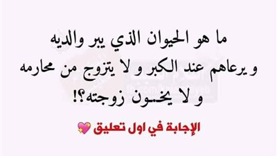 ما هو الحيوان الذي يبر والديه و يرعاهم عند الكبر و لا يتزوج من محارمه و لا يخون زوجته؟!