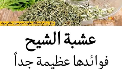 فوائد عشبة الشيح