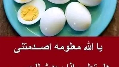 ماذا يحدث للجسم عند المداومة على تناول البيض يومياً