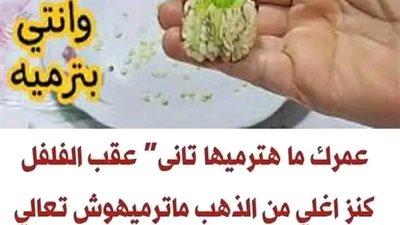 عمرك ما هترميها  تانى عقب الفلفل كنز اغلى من الذهب