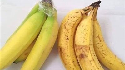 الموز