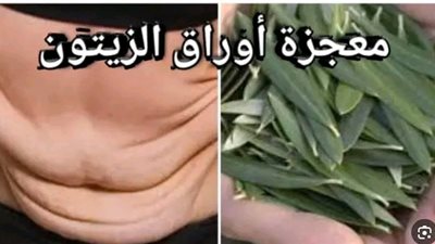 معجزة اوراق الزيتون