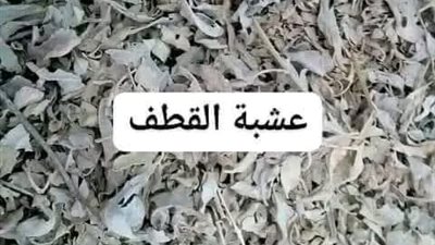 اعشاب تساعد على الحمل