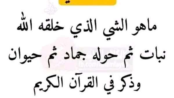 موقع أيام نيوز