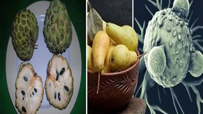 فاكهة انبتها الله تعالى علاج لمرض الســرطان والسكتات القلبية والدماغية والعديد من الأمراض الاخرى  